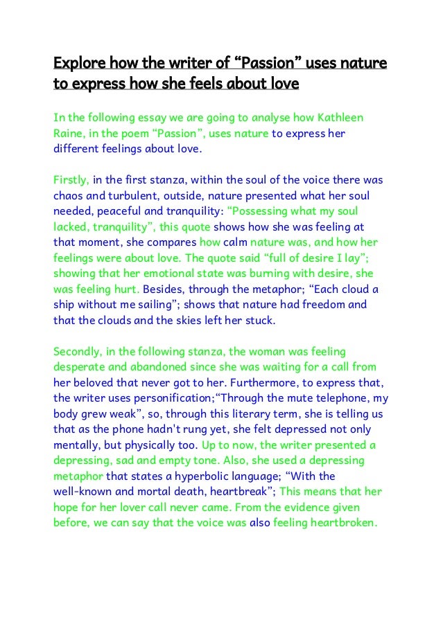 essay an expression of love